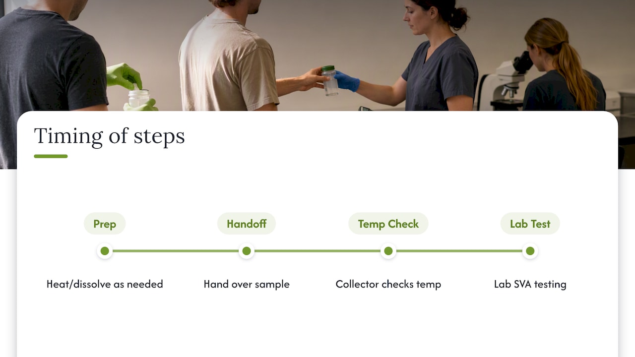 Timeline of specimen validity checkpoints