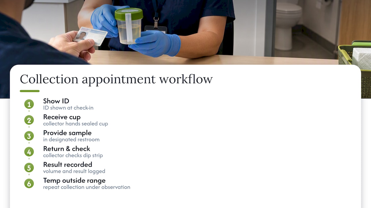 What to expect walking into a collection appointment — overview diagram