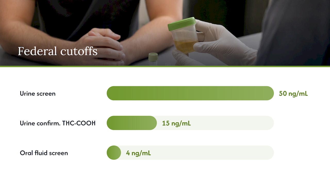 What a drug test actually measures — overview diagram