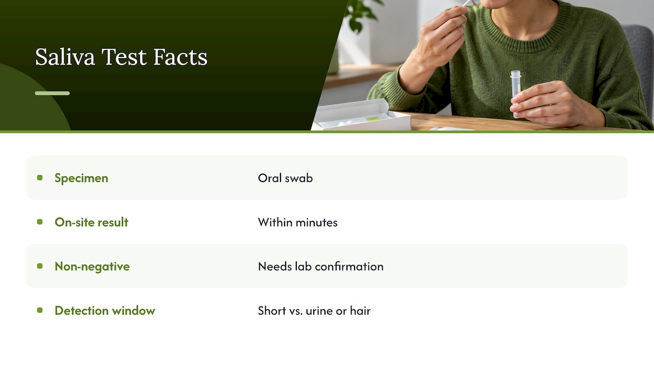 Saliva: minutes on site, but the same rules apply — overview diagram