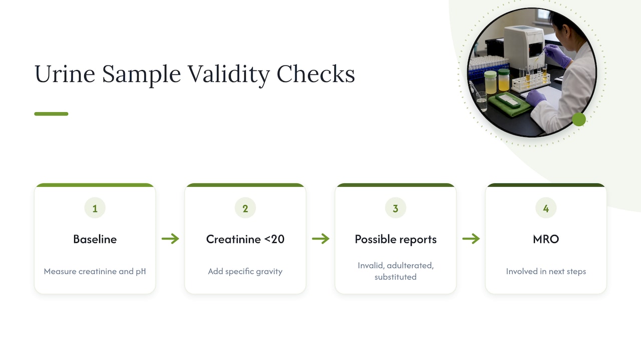 Urine validity markers and possible result categories
