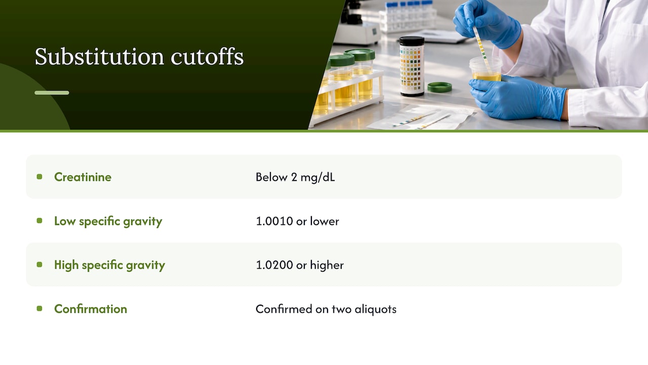 Layer 2: routine specimen validity testing — overview diagram