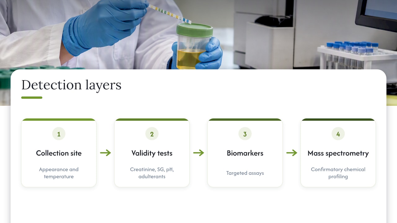 Four layers of synthetic urine detection